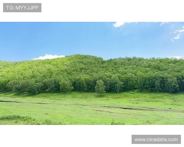 凯发手机网址安全策略解析，打造绿色健康的娱乐环境